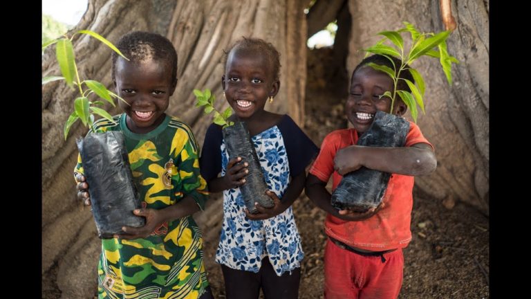 Trees For The Future To Plant 500 Million Trees By 2025 Trees For The Future To Plant 500 Million Trees By 2025