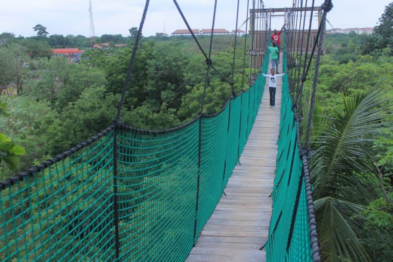 Legon Botanical Gardens: A Unique View of Ecological Beauty