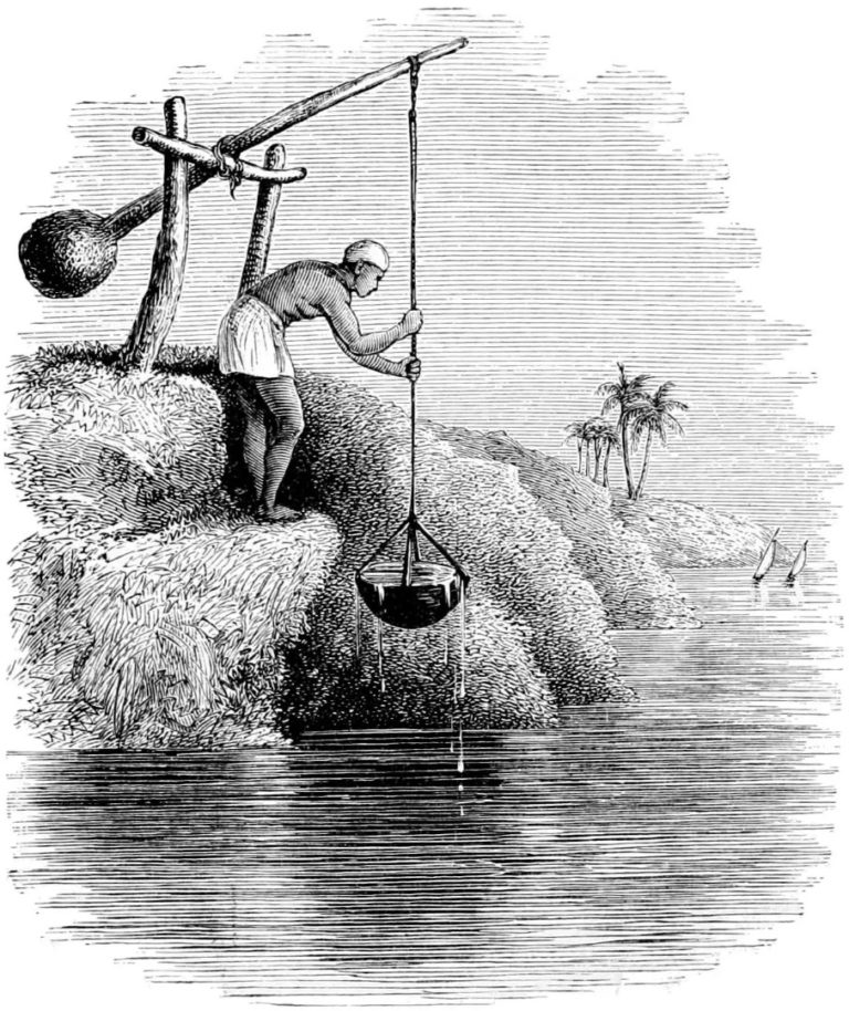 Shaduf is an ancient African invention that aided Crop Irrigation