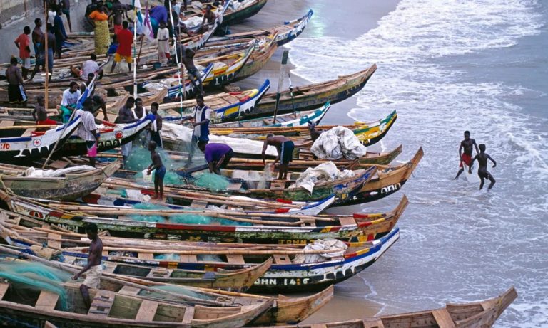 Ghana earned $254 million from Fish Export in 2022 – Minister of Fisheries