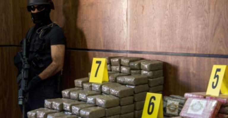 Moroccan police seizes 1.4 tonnes of cocaine concealed as bananas
