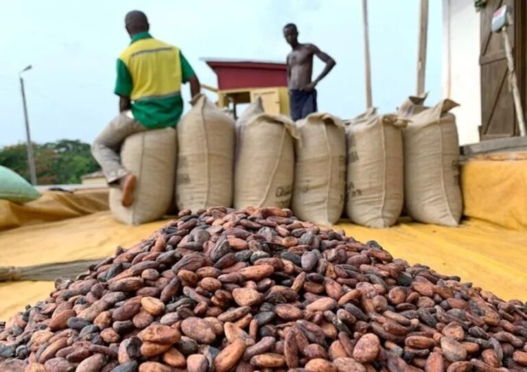 Government increases producer price of cocoa by 58%