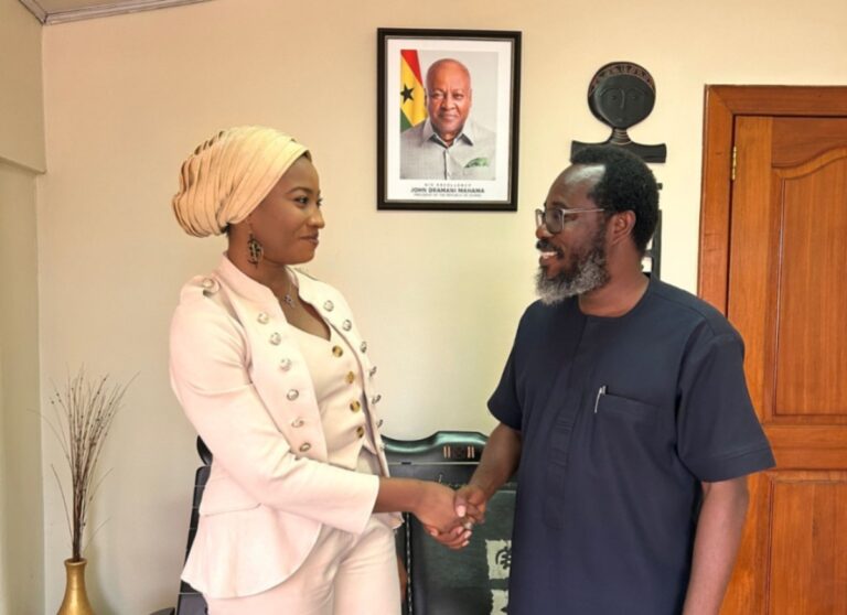 President Mahama appoints Naomi Borley Alabi as Acting Deputy CEO of GTDC President Mahama appoints Naomi Borley Alabi as Acting Deputy CEO of GTDC